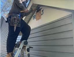 Best Fascia and Soffit Installation  in Hebbronville, TX